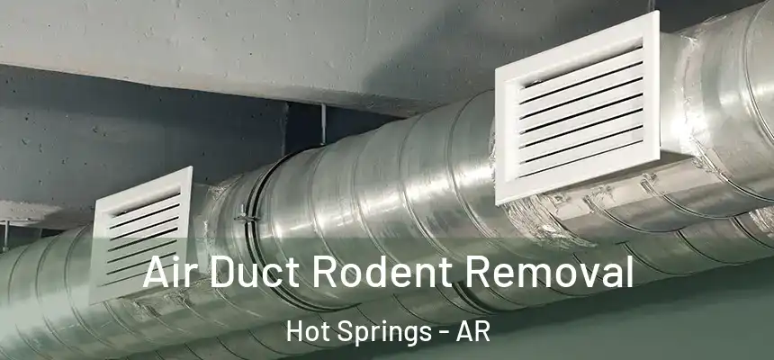 Air Duct Rodent Removal Hot Springs - AR