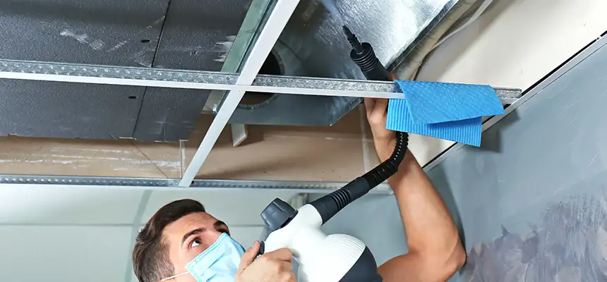 Our Air Duct Rodent Removal Services in Hot Springs, AR