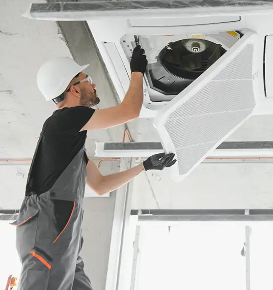 About Air Duct Rodent Removal in Hot Springs, AR