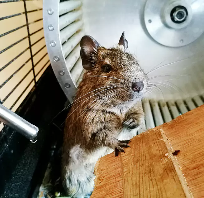 Why Homeowners & Businesses Trust Us Hot Springs, AR?